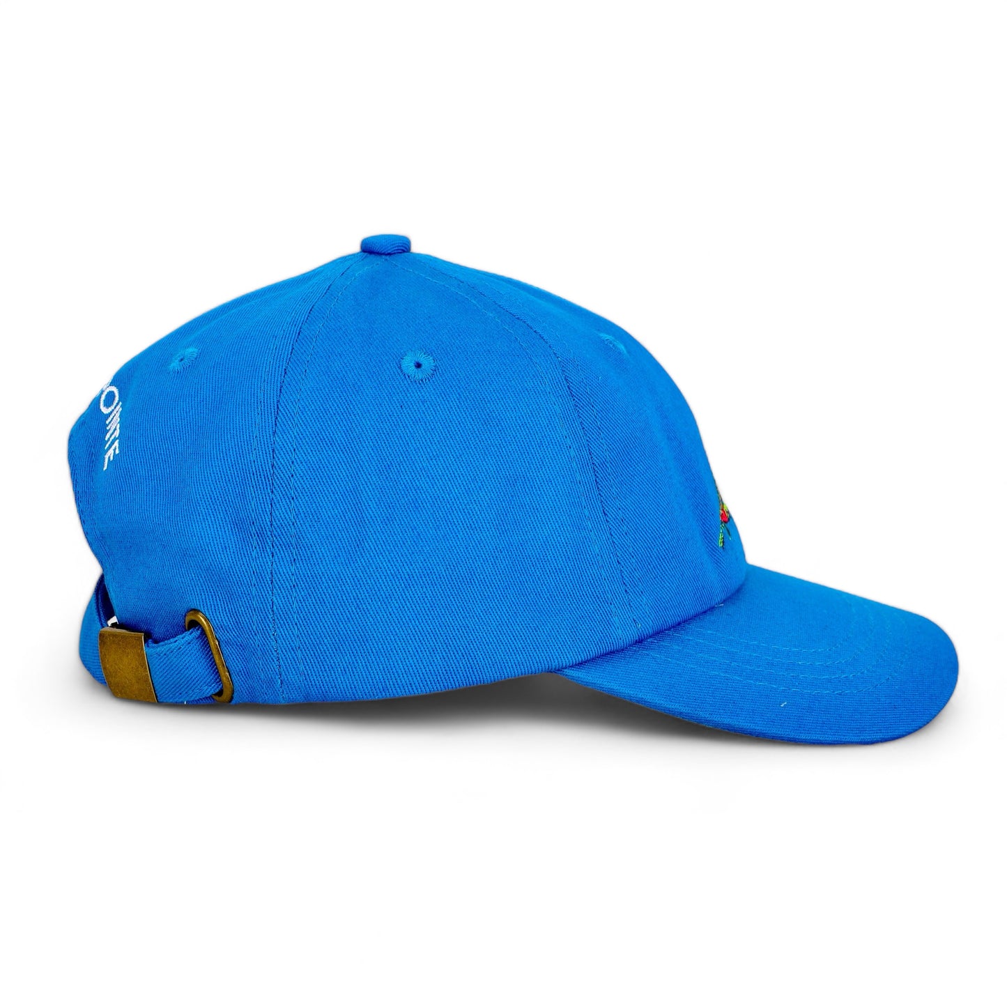 GROSSE POINTE - POP ART - 100% Cotton Twill Embroidered Baseball CHILD Hat - The Fish Fly - Parks Pool Blue