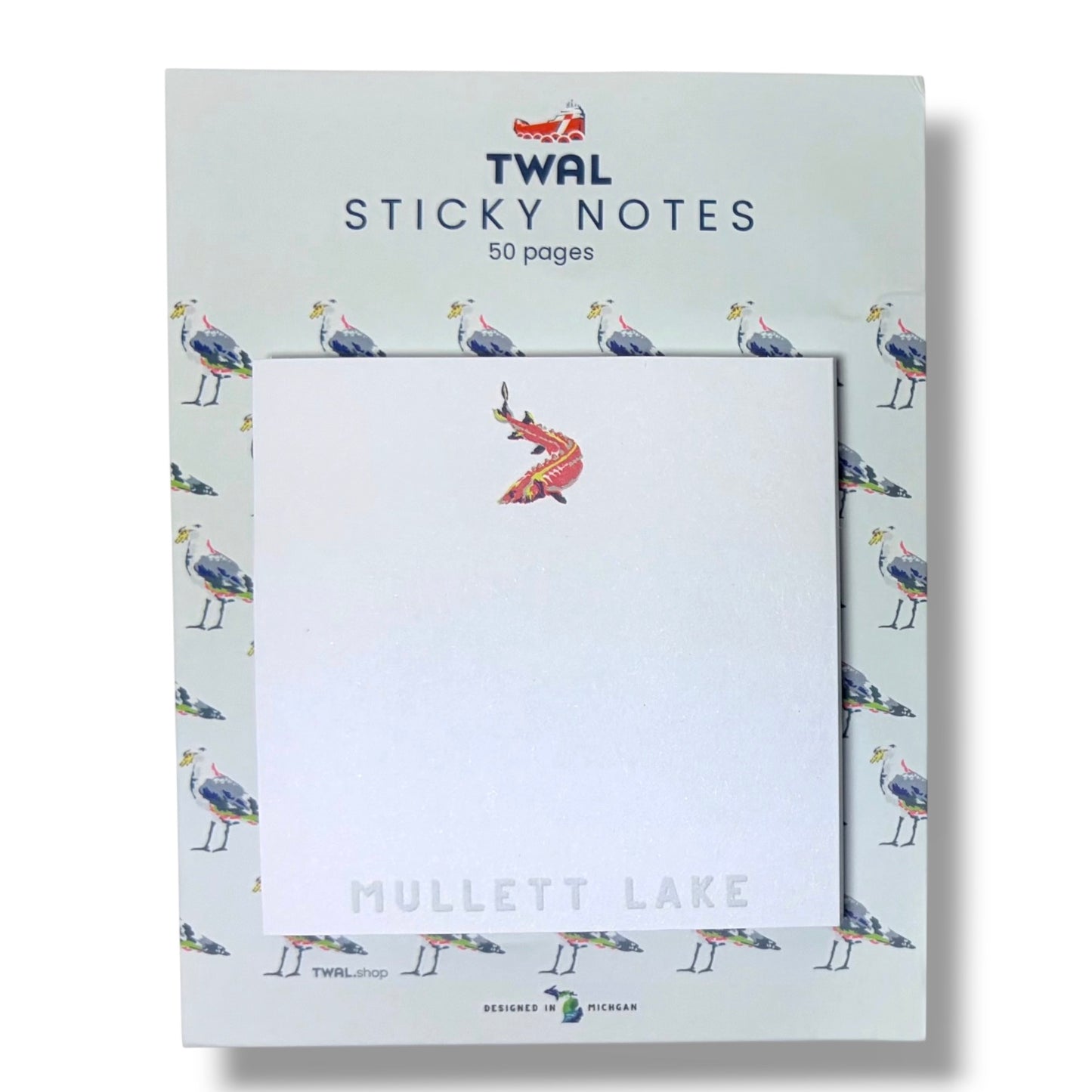 MULLETT LAKE - Lake Sturgeon - 3x3" Sticky Notes | Up North POP ART PLACES Collection